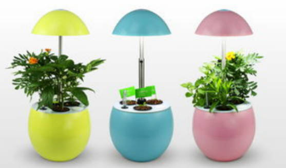 植物生长灯十大品牌(植物生长灯怎么用最合理)插图7