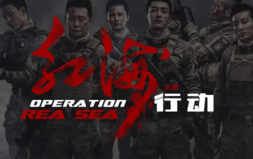 中国国产电影票房排名前十的有哪些(国产十大电影票房排名)插图3