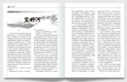 中国纯文学十大刊物(纯文学作品中国排行榜)插图7