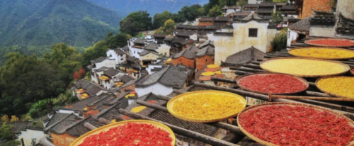 中国赏秋胜地十大排名(中国十大赏秋胜地)插图6