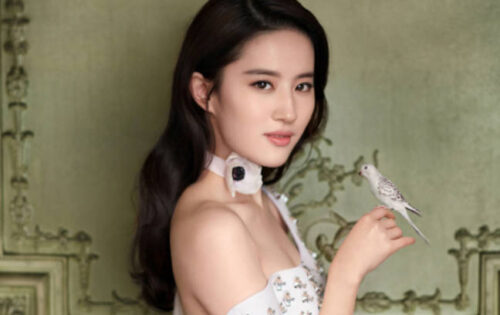 中国十大最美女星排名(中国最美女星100名图片)插图5