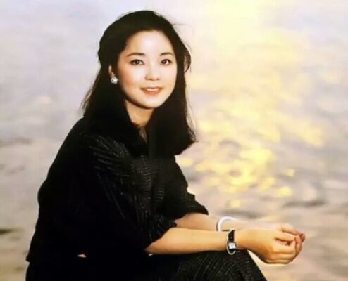 我国十大美女歌手(大陆美女歌手)插图