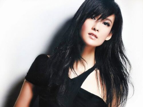 我国十大美女歌手(大陆美女歌手)插图1