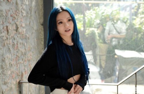 我国十大美女歌手(大陆美女歌手)插图3