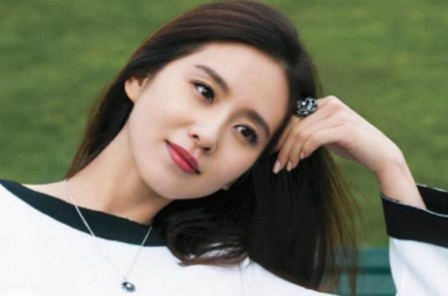 中国美女十大排名(中国美女前十)插图3