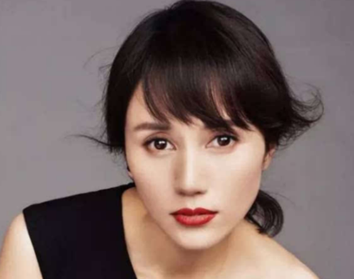 中国美女十大排名(中国美女前十)插图8