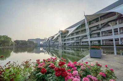 qq怎么不显示状态也不显示手机在线(qq不显示什么手机在线)插图