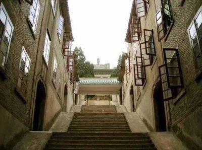 巴旦木是什么果(巴旦木是桃子核还是杏子核,究竟是什么植物的果实)插图