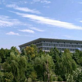 埃里克坎通纳(98年戴拿斯杯东亚四强赛)插图