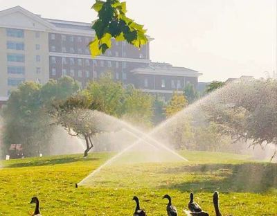 北京对外经贸大学专业(北京对外经贸大学档次)