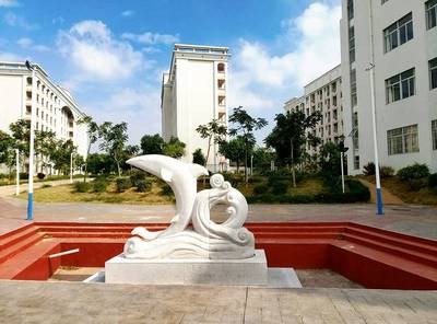 广东海洋大学各专业分数(广东海洋大学专业有哪些)插图1