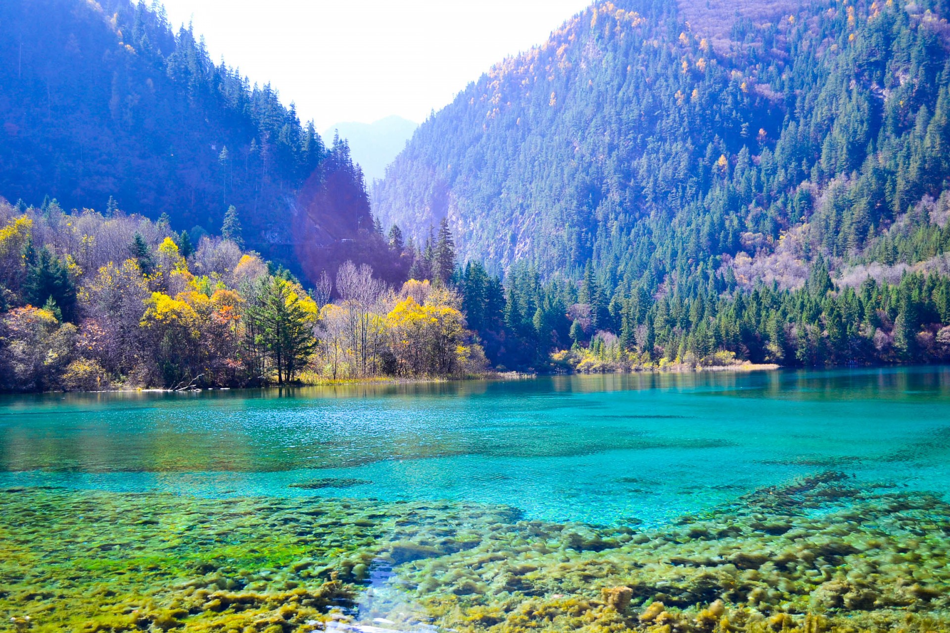 云南大学 旅游管理专业(云南大学旅游管理专业排名)插图