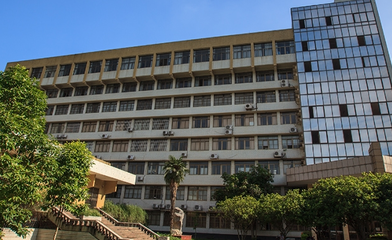 广西大学专业录取分数(广西大学专业录取分数线2021)