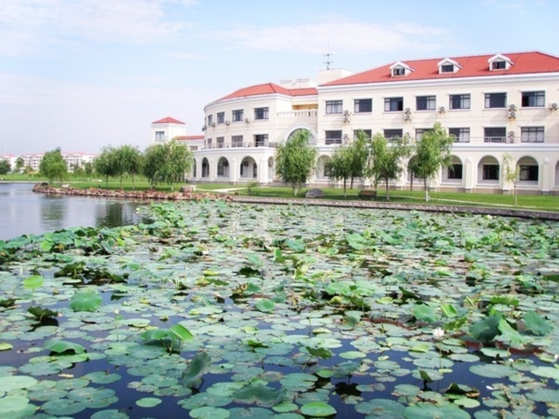 上海师范大学的师范专业(上海师范大学的师范专业有哪些专业)插图1