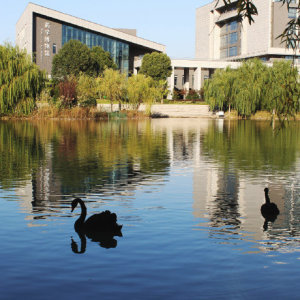 中国药科大学专业目录(张雪峰说中国药科大学)插图1