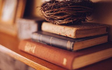 华中农业大学什么专业(华中农业大学什么专业适合考公务员)插图