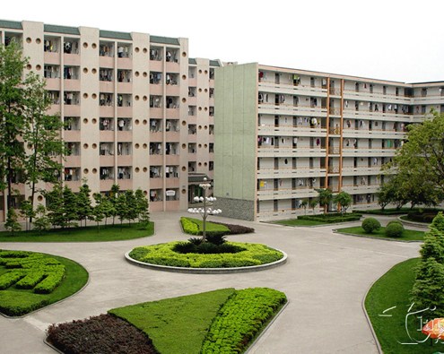 四川农业大学好的专业(四川农业大学好的专业排名)