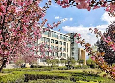 西安石油大学优势专业(西安石油大学专业分数线)插图1