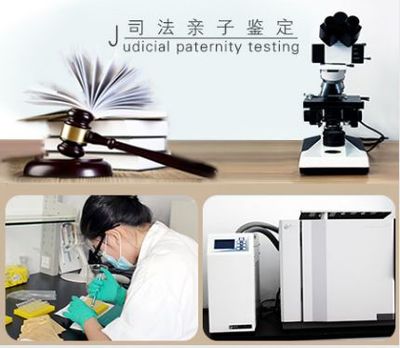 司法考试和自考哪个难(自考法硕可以参加司法考试吗)