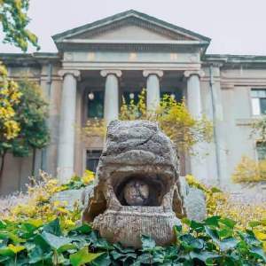 南京医科大学专业(南京医科大学专业组06是什么)插图