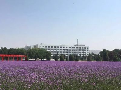 兰州大学金融专业怎样(兰州大学金融专业在哪个校区)插图