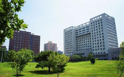 国际贸易学专业怎么样(对外经济贸易大学国际贸易学怎么样)插图