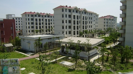 上海师范大学有什么专业(上海师范大学什么专业最好)插图