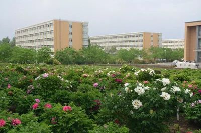 专业代码南方医科大学(专业代码怎么查)插图3