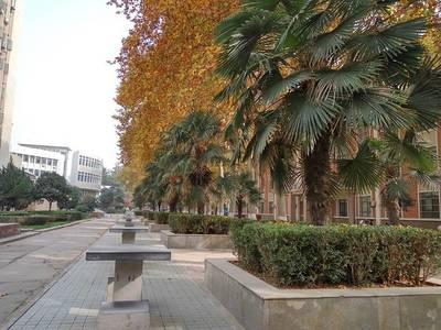 西北工业大学特色专业(西北工业大学王牌专业)插图