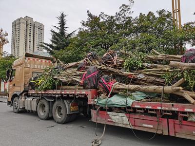 黔南民族师范学院专业(黔南民族师范学院专业排名)插图