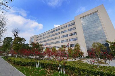 西华师范大学美术专业(西华师范大学美术专业代码)插图