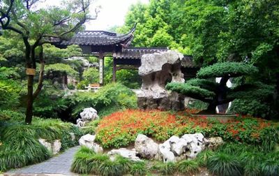 专科园林技术专业学啥(园林技术专业学什么)插图