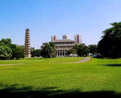 厦大金融系有哪些专业(厦大金融系)