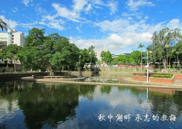 华侨大学全是华侨吗还是华侨(华侨大学属于)