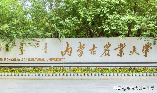 4所垃圾985(985大学排名一览表)