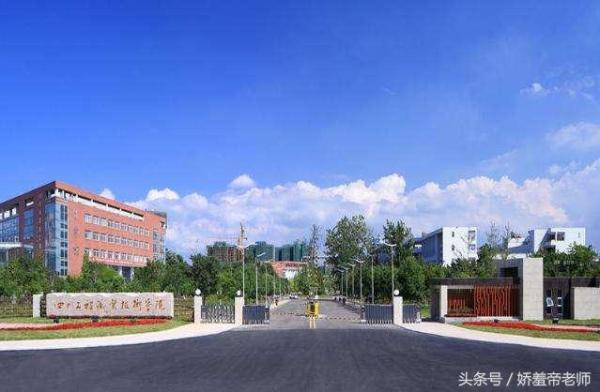 成都专科学校排名前十公办(成都专科公办学校排名)