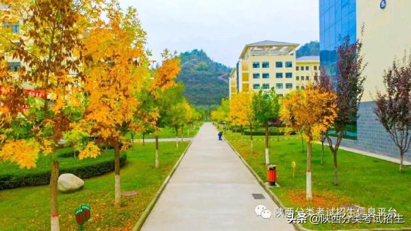 延安职业技术学院上几年(延安职业技术学院是大专吗)