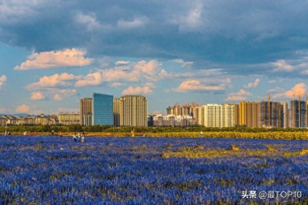 内蒙古大学排名(内蒙古科技大学研究生专业目录)